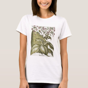 Tabak-Pflanze, vom "Hortus Eystettensis" durch B T-Shirt
