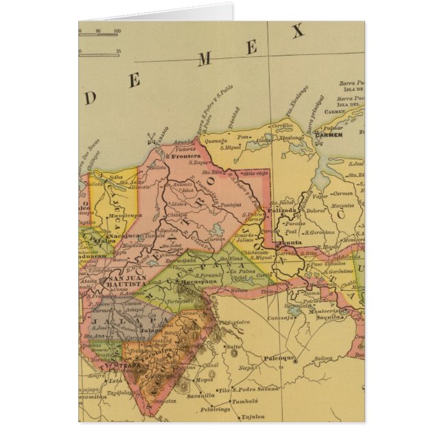 Tabasco (Vorne)