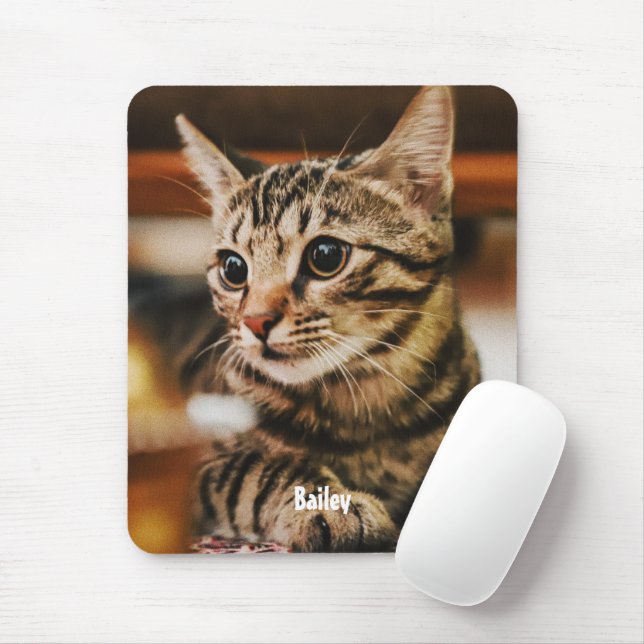 Tabby American Shorthair Custom Mousepad (Mit Mouse)