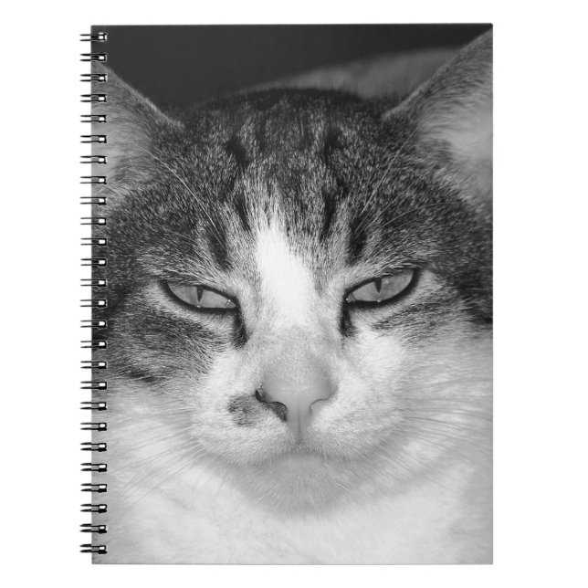 Tabby-and-White-Cat-Notebook Notizblock (Vorderseite)