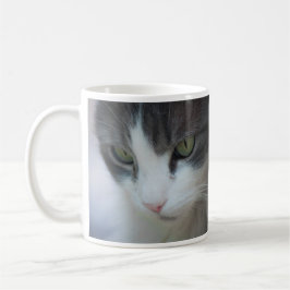 Tabby-and-White Cat Staring Tasse