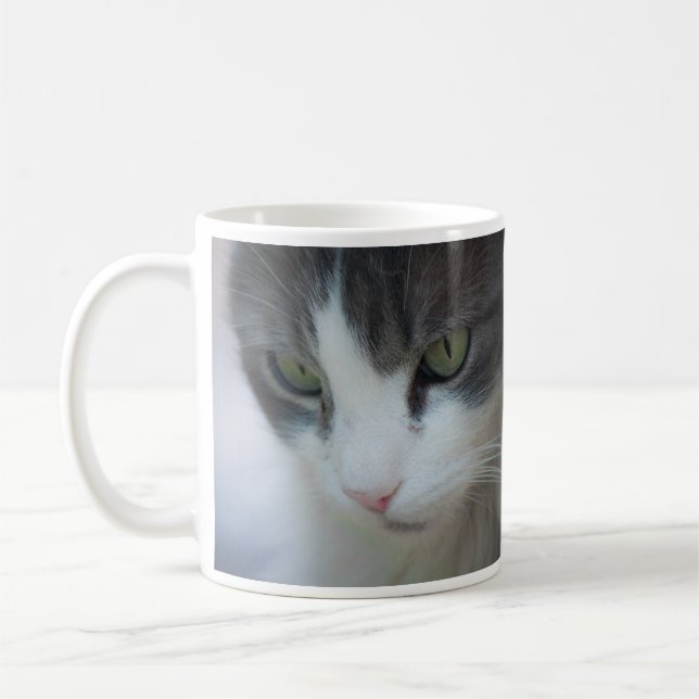 Tabby-and-White Cat Staring Tasse (Links)