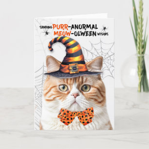 Tabby British Halloween Cat PURRanormal MEOWolween Feiertagskarte