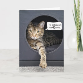 Tabby Cat 45. Geburtstag Spaß Karte