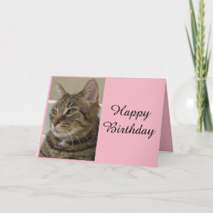 Tabby Cat Birthday Card Karte