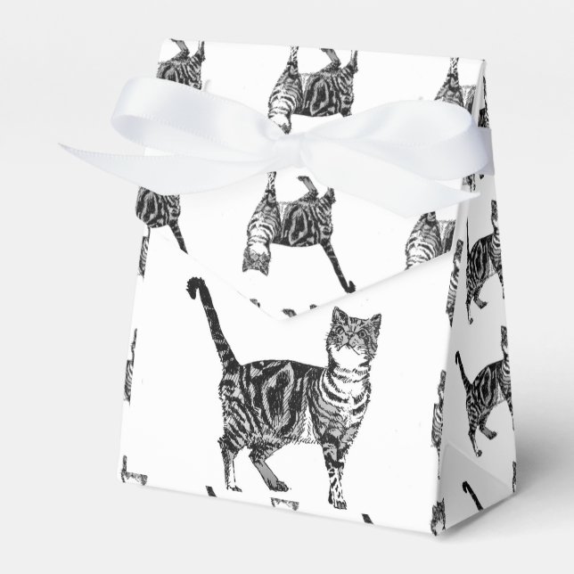 Tabby Cat Black Birthday Party Cake Fevor Box Geschenkschachtel (Vorderseite)