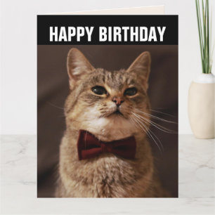 TABBY CAT BOW KRAWATTE GEBURTSTAG GREETING CARD KARTE