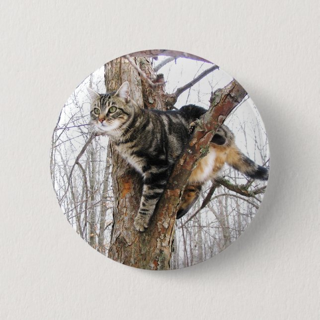 Tabby Cat Button (Vorderseite)