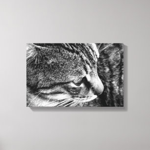 Tabby Cat Canvas Print Leinwanddruck