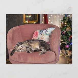 Tabby Cat Christmas Snooze Postkarte