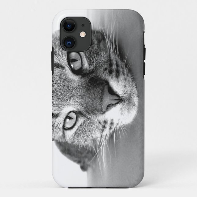 Tabby Cat Closing iPhone Case (Rückseite)