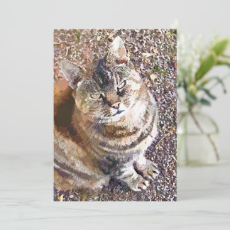 TABBY CAT-EINLADUNG
