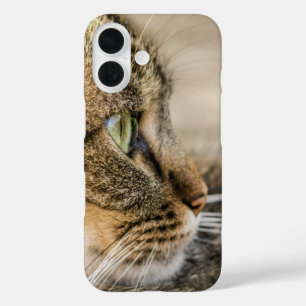Tabby Cat Face Nah-up iPhone 16 Hülle