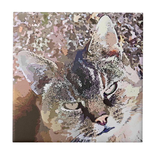 TABBY CAT FLIESE (Vorderseite)