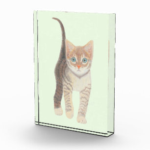 Tabby Cat Fotoblock