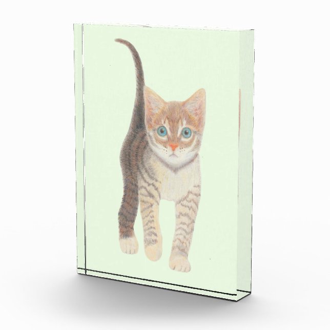 Tabby Cat Fotoblock (Rechts)
