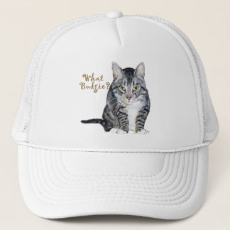 Tabby Cat Frage: Was Budgie? Truckerkappe