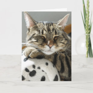 TABBY CAT GEBURTSTAGSKARTE KARTE