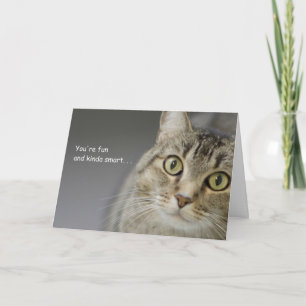 Tabby Cat Geburtstagskarte nach Fokus für eine Sac Karte