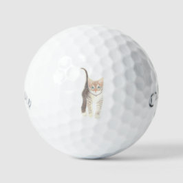 Tabby Cat Golf Balls Golfball