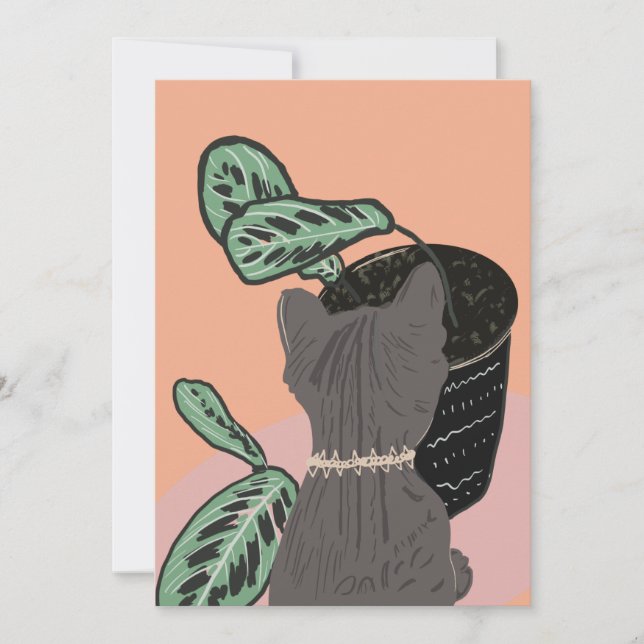 Tabby Cat Gray Pflanze Vielen Dank (Vorderseite)