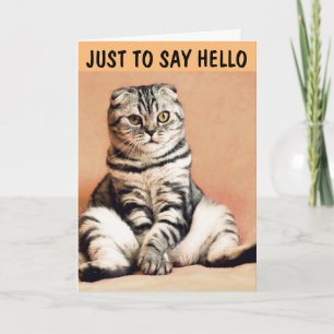 TABBY CAT GREETING CARD ZU SAGEN HELLO KARTE