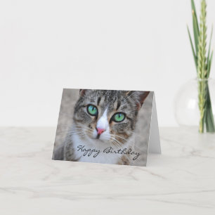 Tabby Cat Happy Birthday Card Karte