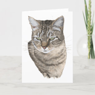 Tabby Cat Head Stueting Karte
