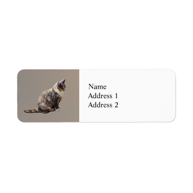 Tabby Cat in Brauntönen (Vorne)