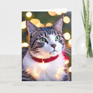 Tabby Cat In Holiday Lights Feiertagskarte