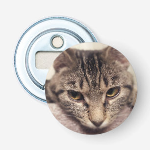 Tabby Cat-Instagram von Shirley Taylor Flaschenöffner