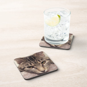 Tabby Cat-Instagram von Shirley Taylor Untersetzer