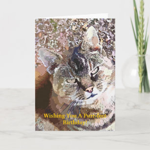 TABBY CAT KARTE