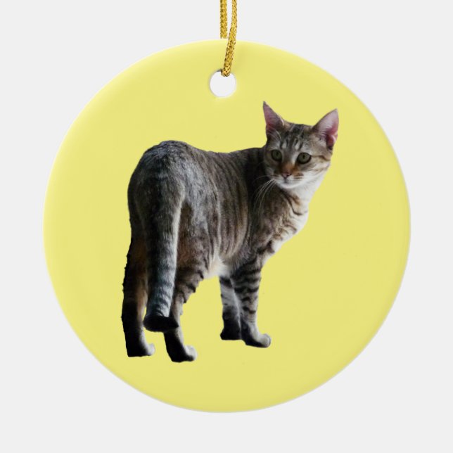 Tabby Cat Keramik Ornament (Vorne)