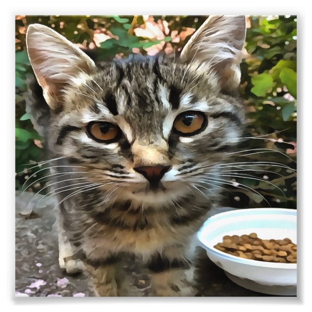 Tabby Cat Kitten Augenkontakt Fotodruck (Vorne)