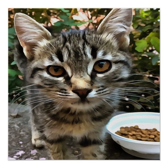 Tabby Cat Kitten Augenkontakt Poster (Vorderseite)