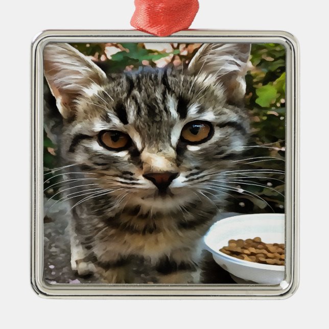 Tabby Cat Kitten Augenkontakt Silbernes Ornament (Vorne)