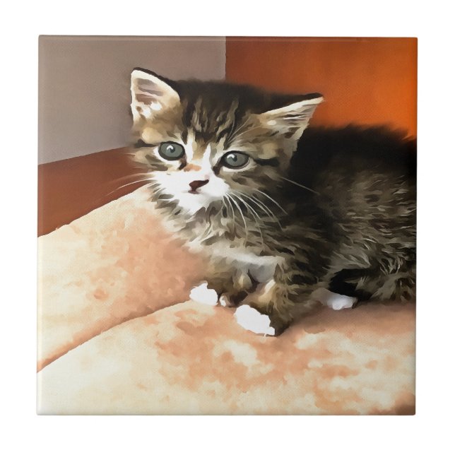 Tabby Cat Kitten Pet Portrait Fliese (Vorderseite)