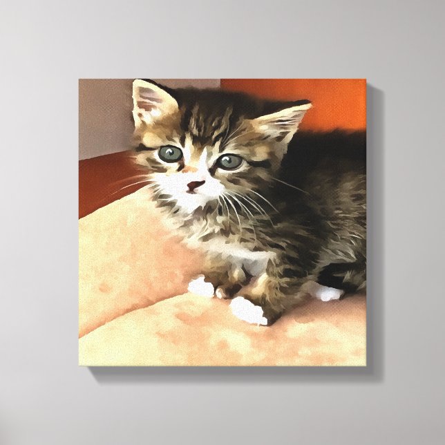 Tabby Cat Kitten Pet Portrait Leinwanddruck (Vorderseite)