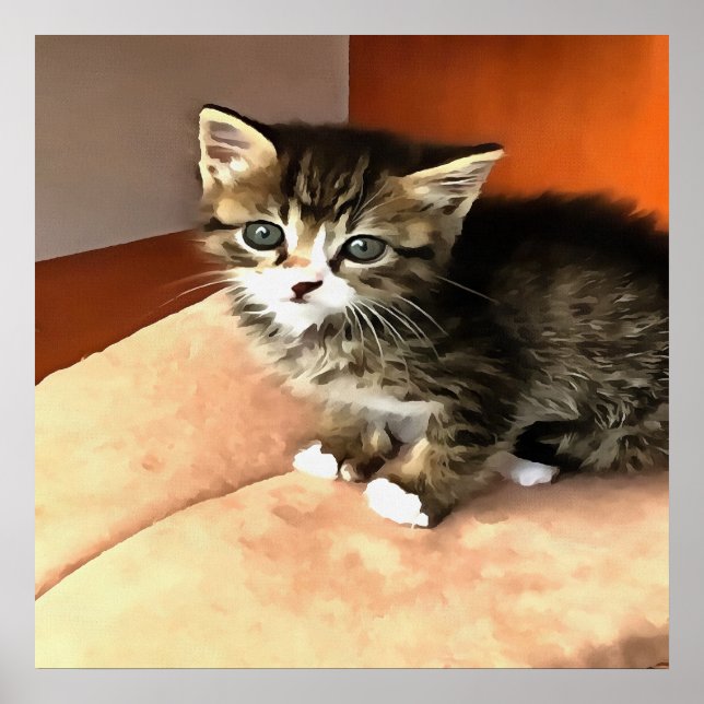 Tabby Cat Kitten Pet Portrait Poster (Vorne)