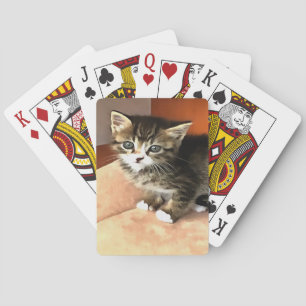 Tabby Cat Kitten Pet Portrait Spielkarten