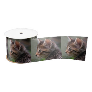 Tabby cat kitten Portrait 3" Satinband
