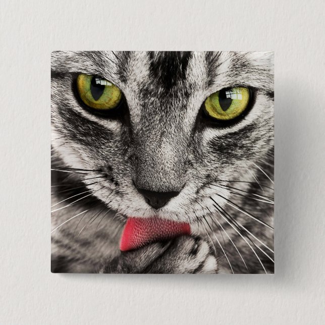 Tabby Cat Licking Paw Button (Vorderseite)