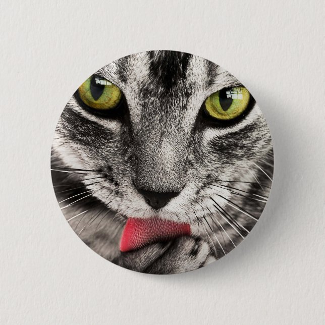 Tabby Cat Licking Paw Button (Vorderseite)