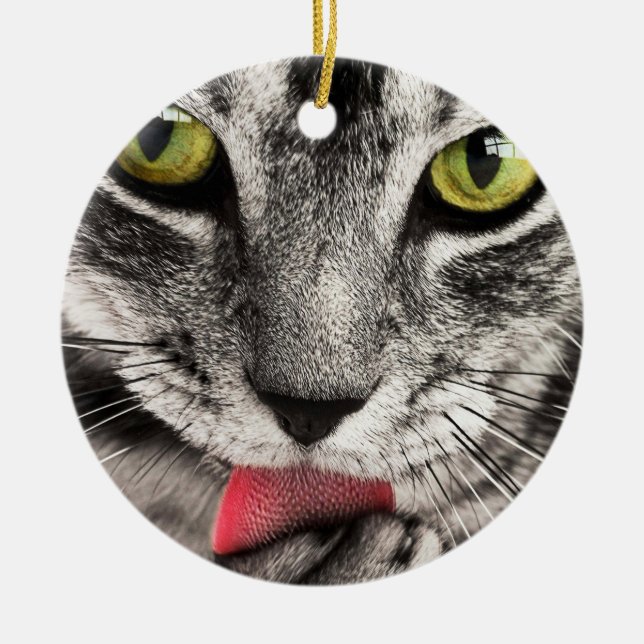 Tabby Cat Licking Paw Keramik Ornament (Vorne)