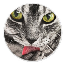 Tabby Cat Licking Paw Keramikknauf