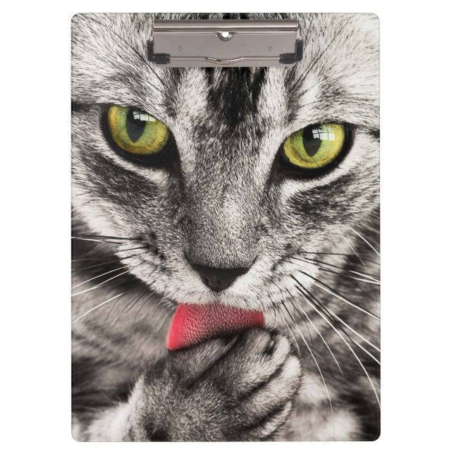 Tabby Cat Licking Paw Klemmbrett (Vorderseite)