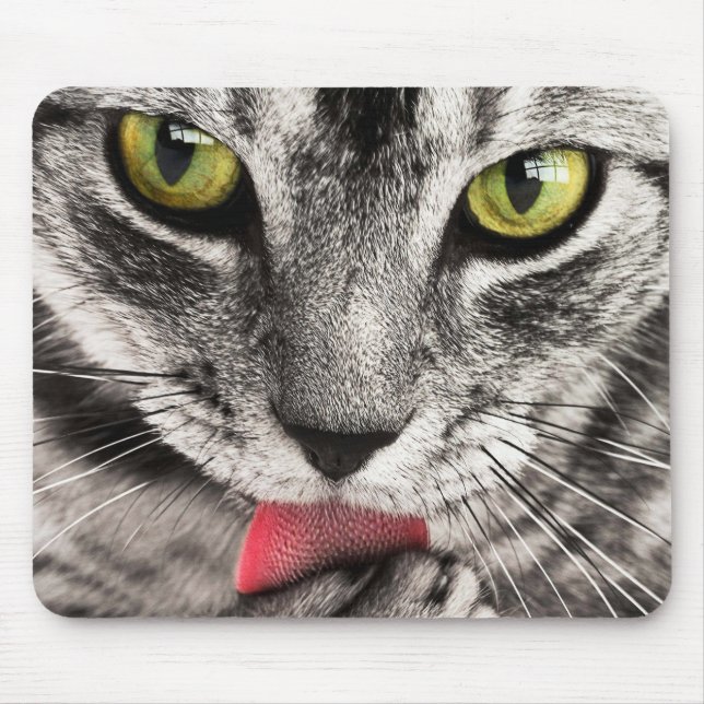 Tabby Cat Licking Paw Mousepad (Vorne)