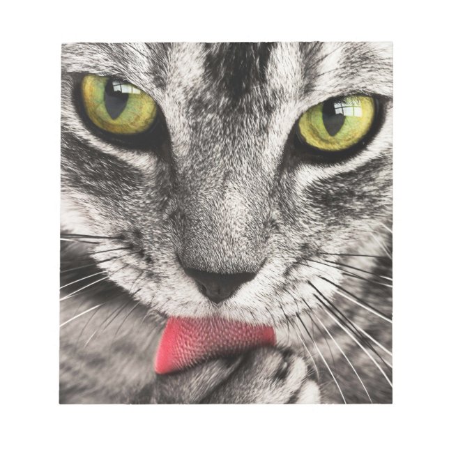 Tabby Cat Licking Paw Notizblock (Vorderseite)