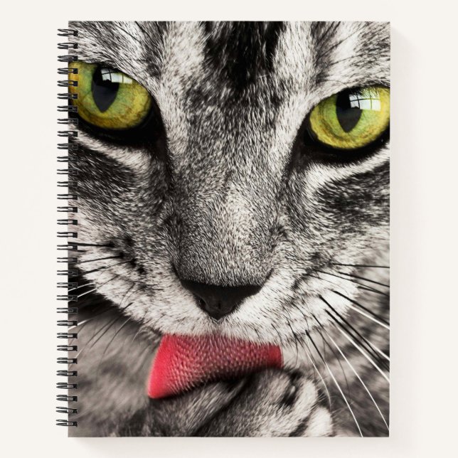 Tabby Cat Licking Paw Notizbuch (Vorderseite)